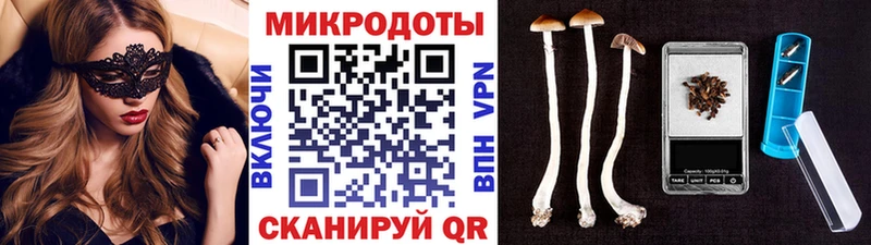 Псилоцибиновые грибы GOLDEN TEACHER  Новый Оскол 